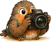 A little robin with a camera, ready to see your make